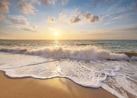 Apartment in De Koog Near Texel Beach