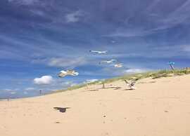 Cozy Beach Side Apartment