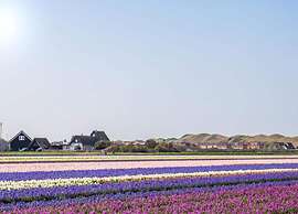Cozy Beach Side Apartment