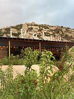 The Village at Oeno