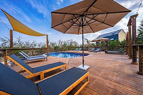 BIA Treehouse Fredericksburg