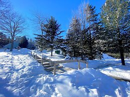 A1 Luxury Bretton Woods Ski-in Ski-out Townhome Next to Beginner ski A