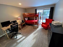 A1 Luxury Bretton Woods Ski-in Ski-out Townhome Next to Beginner ski A