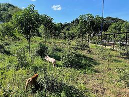 Nguyen Shack Retreat