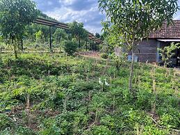 Nguyen Shack Retreat