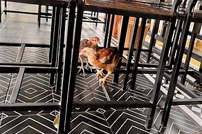 Nguyen Shack Retreat