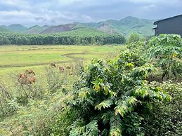 Nguyen Shack Retreat