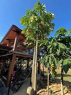 Nguyen Shack Retreat