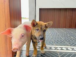 Nguyen Shack Retreat