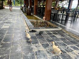 Nguyen Shack Retreat