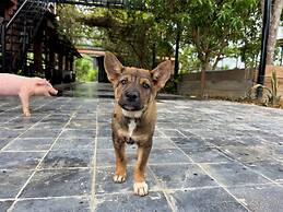 Nguyen Shack Retreat