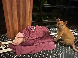 Nguyen Shack Retreat