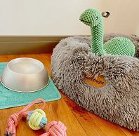 Loch Ness Gate House Apartments