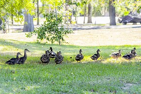 Stunning Riverside Retreat With Private Pool 5 Bedroom Home by RedAwni