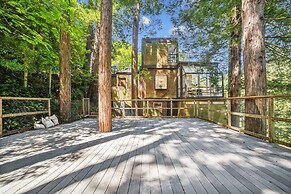 Mill Valley Treehouse 5 Bedroom Home by RedAwning