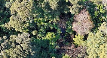 Kaitahi Chef's Table & Lodge