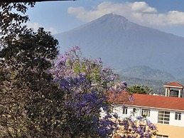 BOULEVARD INN MT MERU