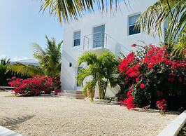 Modern villas at Grace Bay