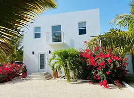 Modern villas at Grace Bay