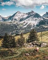 Hotel Quellenhof - Self Check-in & Adults Only