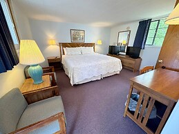 Beachcomber of Mackinaw