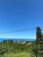 MİRA BUNGALOV