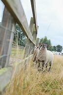 Little Lodge Glamping