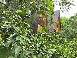 Kvirike Gardens