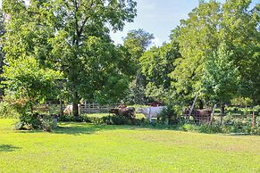 Secluded Marble Falls Farmhouse w/ Cattle Views