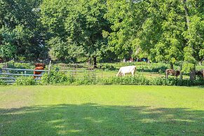 Secluded Marble Falls Farmhouse w/ Cattle Views