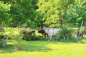 Secluded Marble Falls Farmhouse w/ Cattle Views