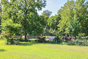 Horses Welcome: Marble Falls Home w/ Grill!