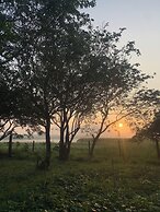 Lake Front Cottage & Restaurent