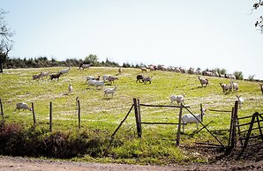agriturismo i moresani