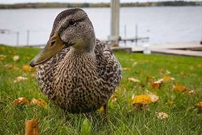 Harmony Beach Resort