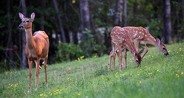 Harmony Beach Resort