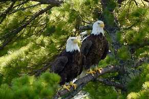 Harmony Beach Resort