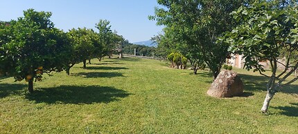 Casa de Lujo con Pisicina y Jardin en el Rural