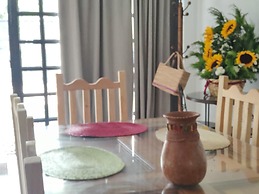 casa mango