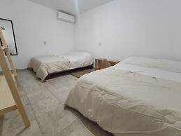 casa mango