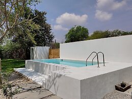 casa mango