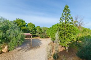 Es Figueral in Campos