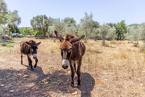 Can Pina - Eco Pina -