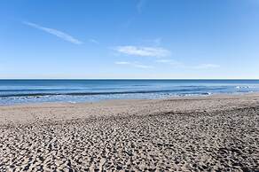 Sea Pearl in Daim s