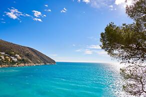 Avatar in Bah a de J vea