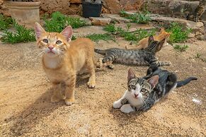 Son Mayol 2 in Son Mesquida