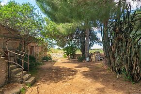 Son Mayol 2 in Son Mesquida