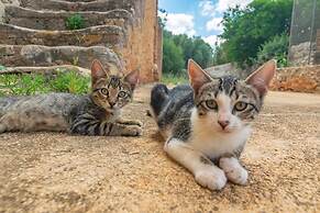 Son Mayol 2 in Son Mesquida