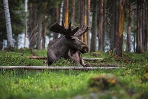 Jockfall Fishing and Activities