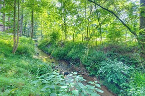 Blue Ridge Mtn Retreat: Porches & Creek Access
